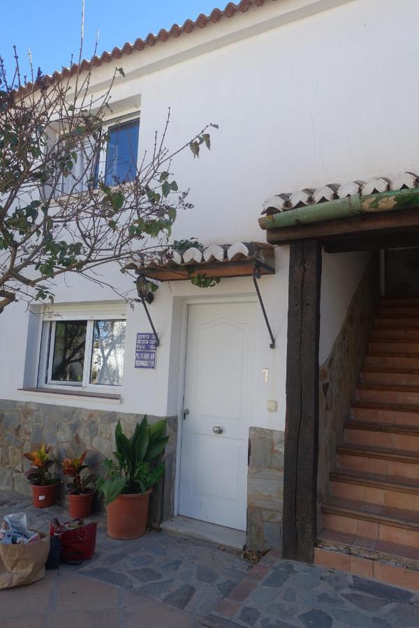Galwey, Tourist Appartments With Wifi Малага Екстериор снимка