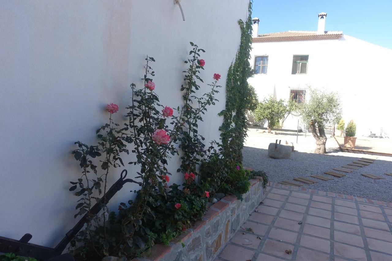 Galwey, Tourist Appartments With Wifi Малага Екстериор снимка
