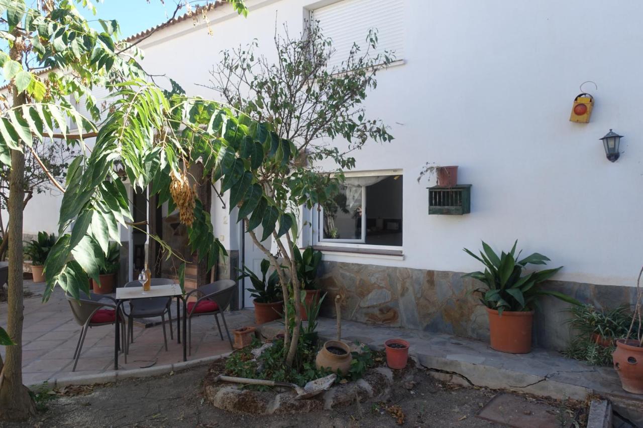 Galwey, Tourist Appartments With Wifi Малага Екстериор снимка